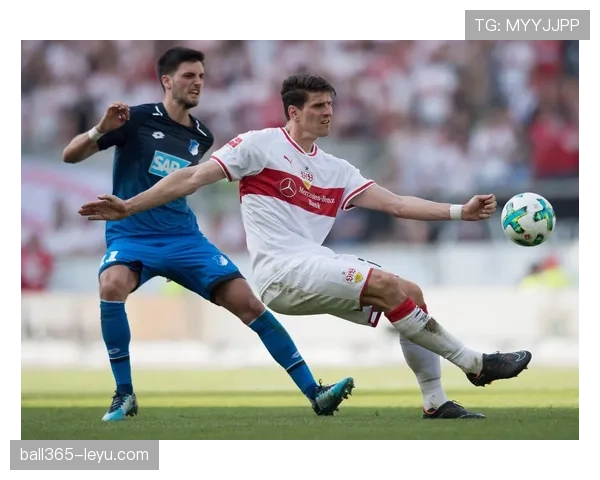 斯图加特赛季展望：状态稳步提升，剑指德甲巅峰